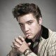 STECK TRIBUTE - Elvis Presley