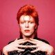 STECK TRIBUTE - David Bowie